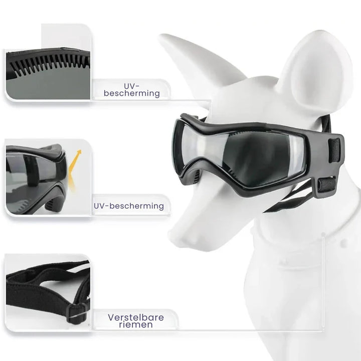 Ergonomischer Hundehelm mit verstellbarer Brille, bietet optimalen Komfort und UV-Schutz für Ihren Hund.