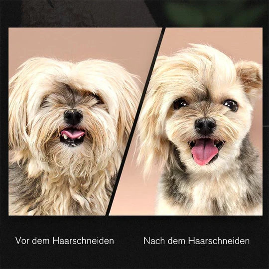 Hochwertige Hundeschere für umfassende Fellpflege, eine Must-have Haustierschere für jeden Tierbesitzer.