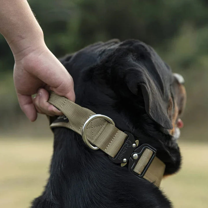 Robustes taktisches Hundehalsband aus Nylon mit Kontrollgriff für Training & Sicherheit großer Hunde.