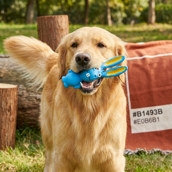 Detailansicht: Robustes Kauspielzeug aus Naturlatex für Hunde, unterstützt Zahnpflege spielerisch.