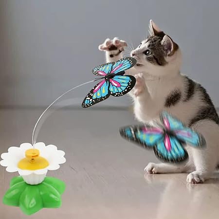 Interaktives Katzenspielzeug Schmetterling, weckt den Jagdtrieb, für langanhaltenden Spielspaß Ihrer Katze.