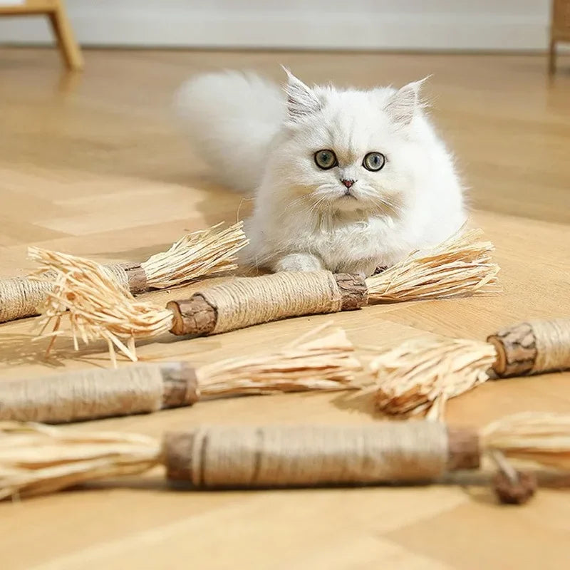 Katzen-Zahnreinigungs-Sticks für frischen Atem und Plaque-Reduktion. Effektive Zahnpflege für gesunde Katzenzähne.