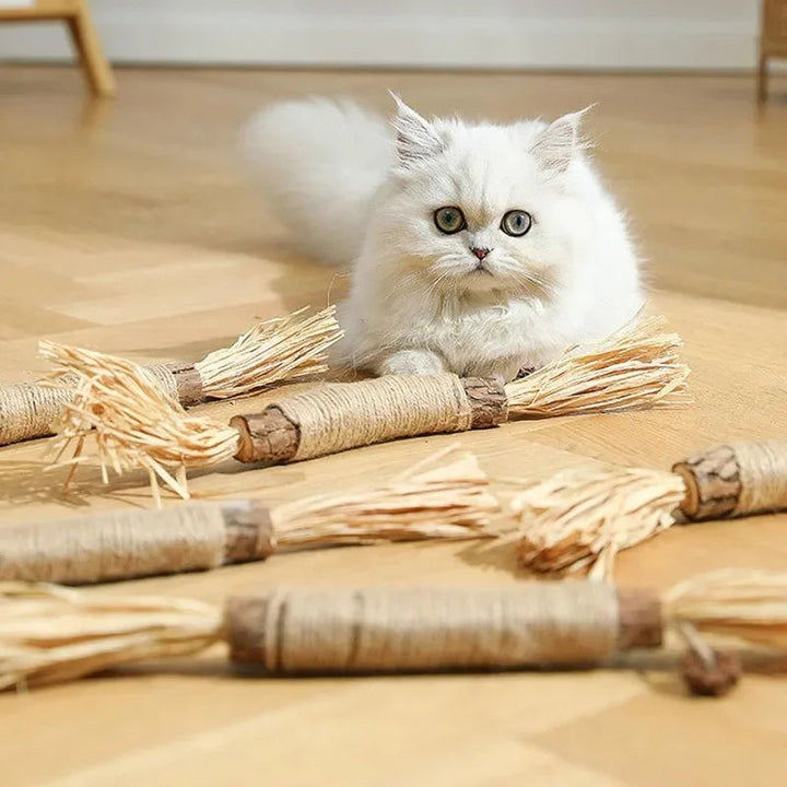 Katzen-Zahnreinigungs-Sticks für frischen Atem und Plaque-Reduktion. Effektive Zahnpflege für gesunde Katzenzähne.