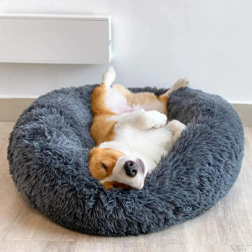 Flauschiges, waschbares Hundebett in Grau. Bietet Komfort & Geborgenheit. Weicher Schlafplatz für entspannte Haustiere.