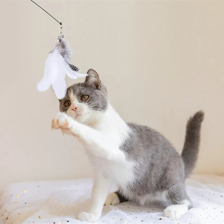 Katze spielt aktiv mit dem Vogelspielzeug. Ideal für interaktiven Spielspaß, fördert Bewegung & Jagdinstinkt der Katze.