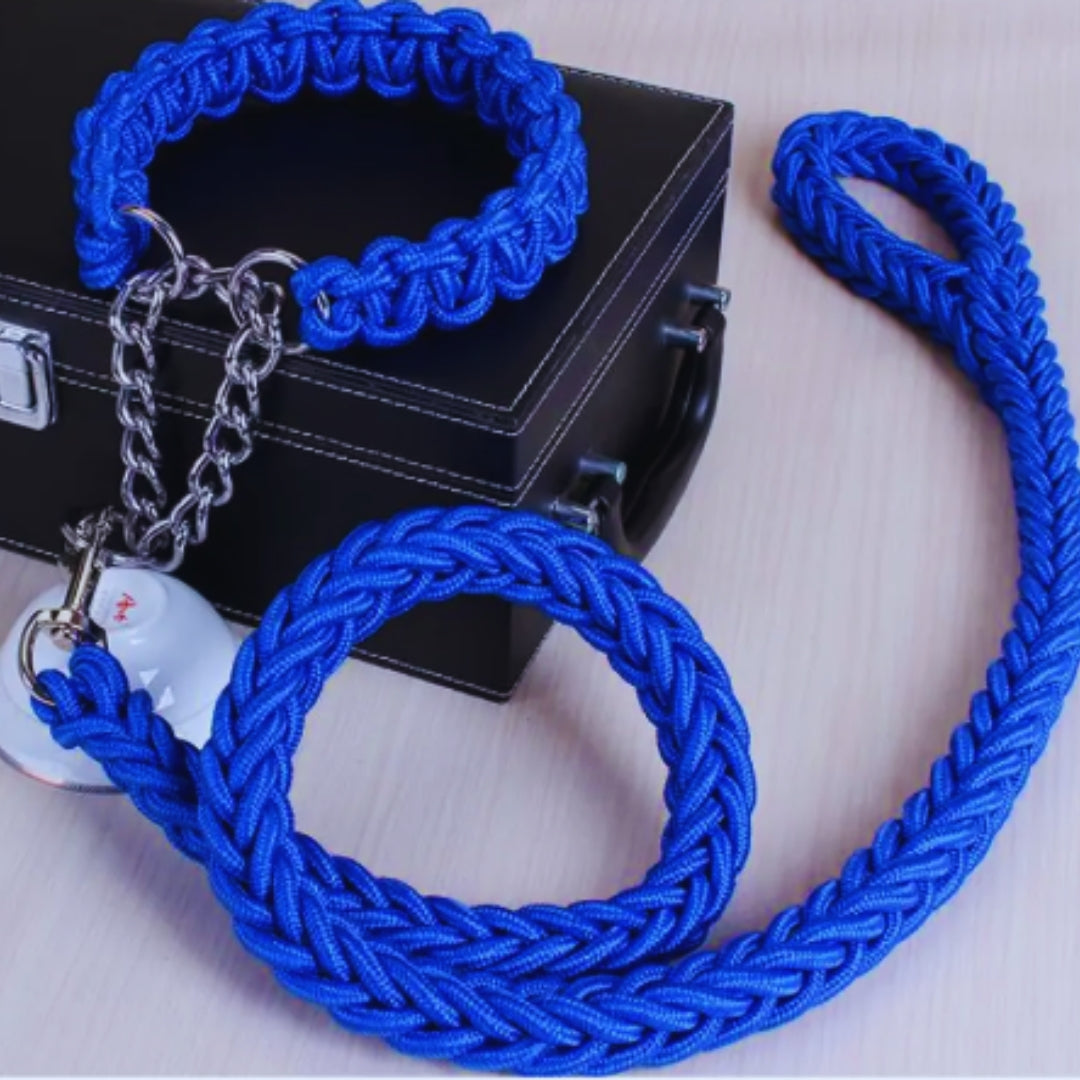 Detailansicht: Stabiles Metallglied an reißfestem Nylon-Hundehalsband – essenziell für Hundetraining.
