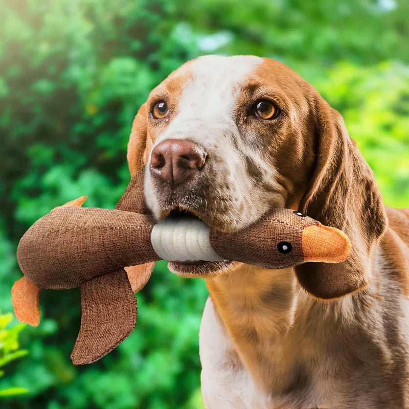 Interaktives Zerrspielzeug für Hunde, 2er-Set. Fördert Spiel und Bindung, sehr robust.