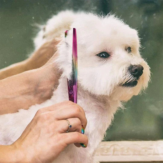 Premium Hundeschere für Fellpflege, sichere Edelstahl-Schere für Hundefriseur und Tierpflege.
