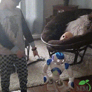 Lernroboter mit Musikfunktion und Lichteffekten, ein interaktives Spielzeug, das zum Experimentieren anregt.