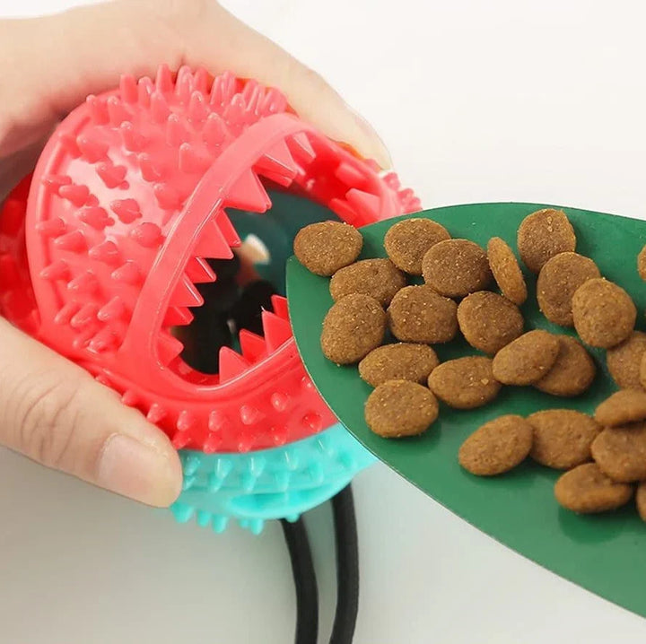 Strapazierfähiges Hundespielzeug Gummi Zerrtau, ideal für interaktive Spiele und intensive Zahnpflege für alle Hunde.