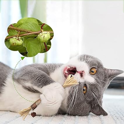 Katzen Zahnreinigungs Sticks für frischen Atem und gesunde Katzenzähne.