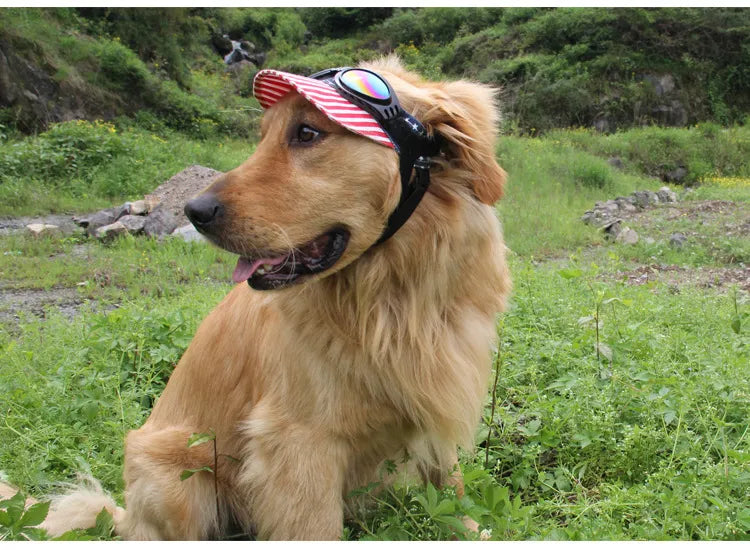 Hundeschutzbrille in Rot. Essentieller UV-Schutz für Hundeaugen. Modisches und praktisches Hundeaccessoire.