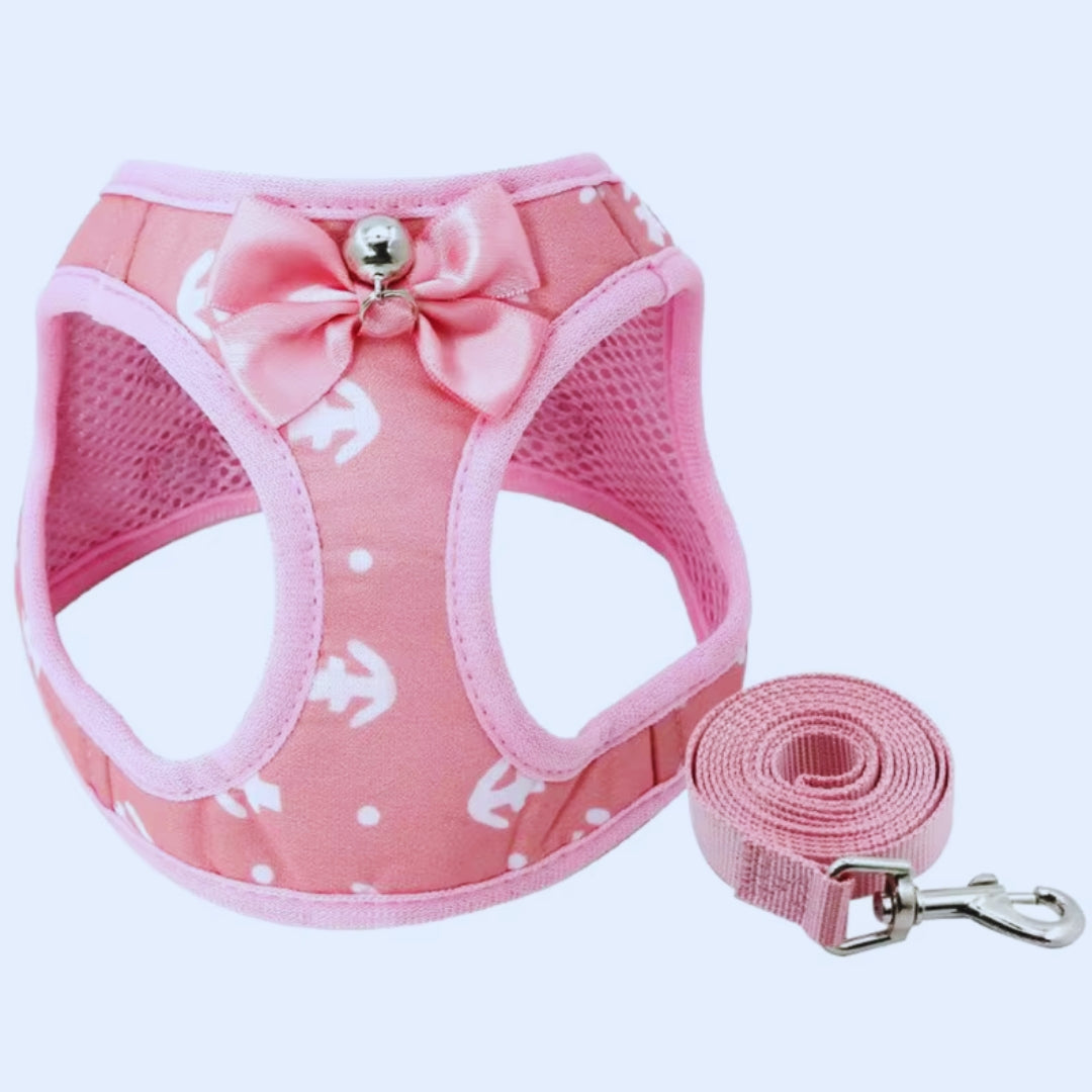 Stilvolles Hundeaccessoire: Elegantes Geschirr für kleine Hunderassen mit Schleifendetail. Robust und bequem.