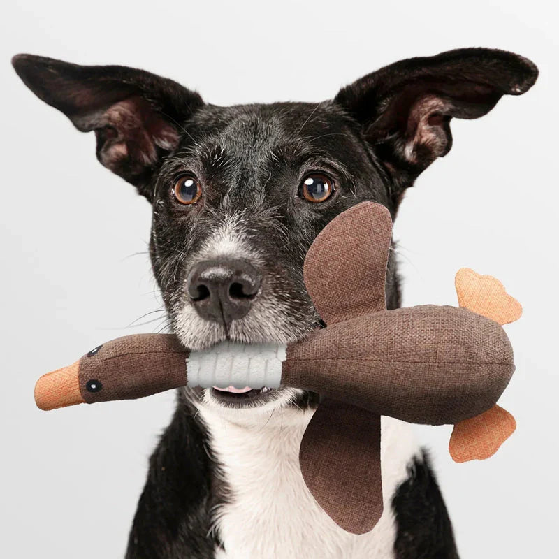 Robustes Hundespielzeug aus widerstandsfähigem Material, ideal für Kauen & Zerren. Langlebiges 2er-Set.
