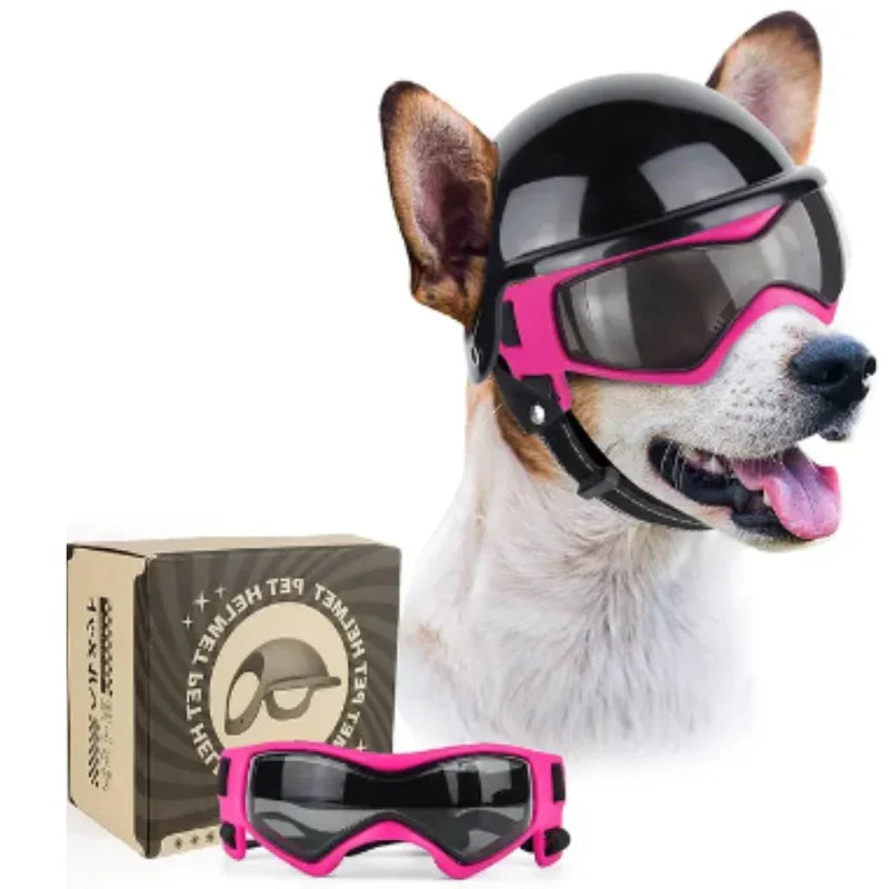 Sicherer Hundehelm mit integrierter Brille für aktiven UV-Schutz bei jedem Wetter. Hundeglück garantiert.