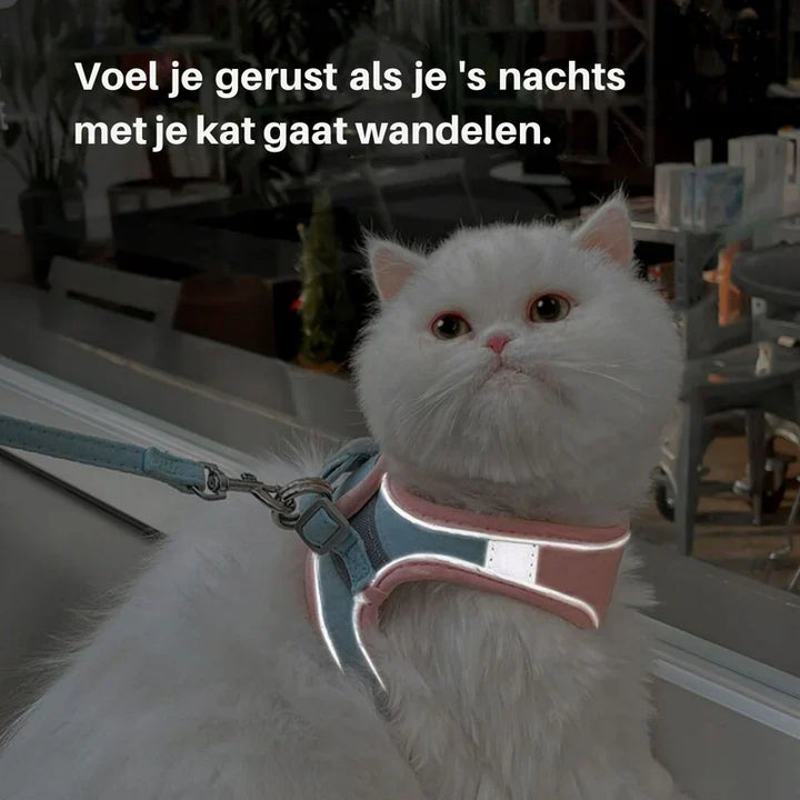 Ausbruchsicheres Katzen-Harness mit breiten Trägern; verteilt den Druck gleichmäßig für Komfort.