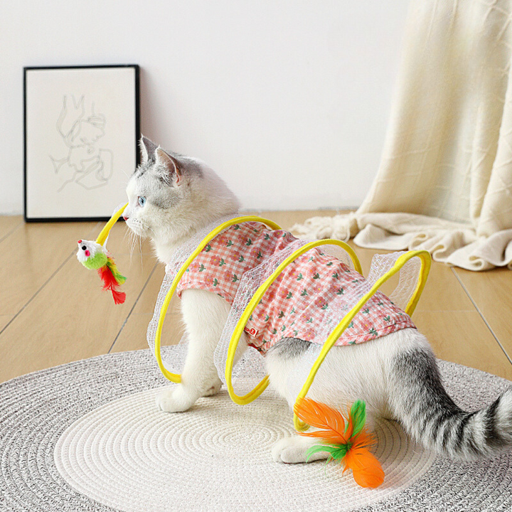Interaktives Katzenspielzeug mit Spiralbahn für Spieltrieb und Beschäftigung, ideal für Katzenzubehör.