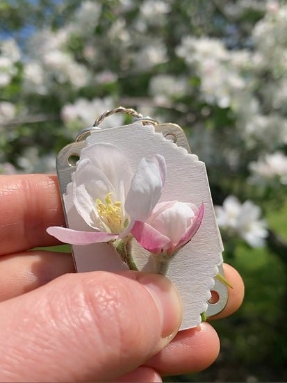 Blumenpresse im Taschenformat für unterwegs gesammelte Schätze.