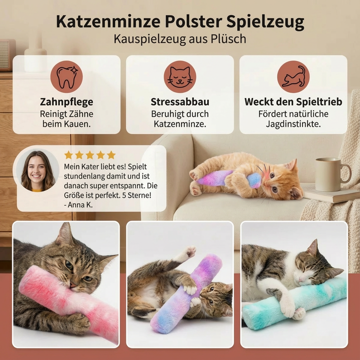 Katzenminze Katzenspielzeug: Ein Spielkissen zum Stressabbau & für langanhaltenden Spielspaß für Ihr Haustier.
