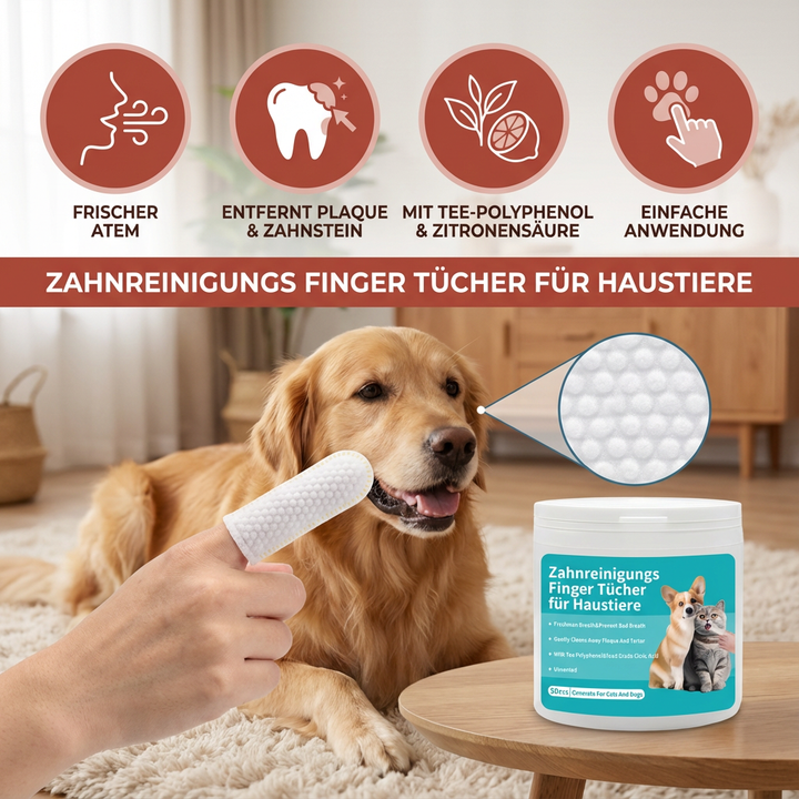 Hund & Katze genießen sanfte Zahnreinigungstücher für frischen Atem. Effektive Zahnpflege & Mundhygiene.