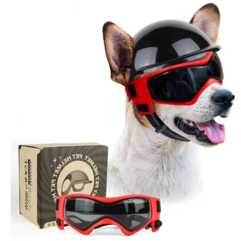 Robuster Hundehelm mit Sonnenbrille schützt die Augen bei Outdoor-Aktivitäten. Perfektes Hundezubehör.
