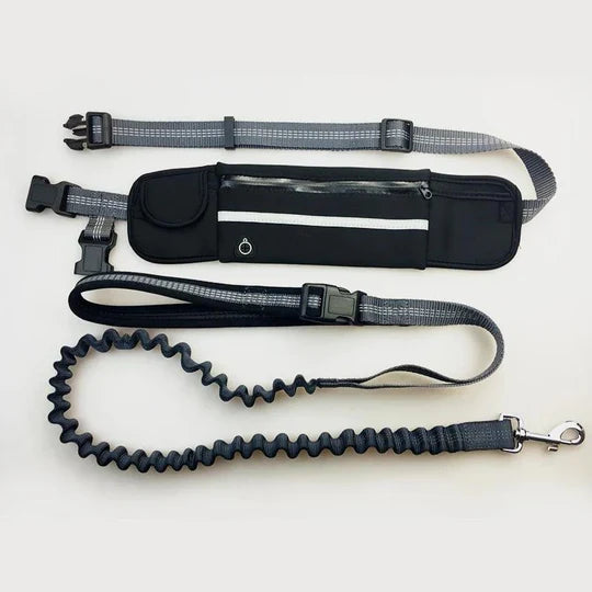 Hundeleine-Set: Elastische Laufleine und verstellbarer Hüftgurt. Ideal für freihändige Hunde-Abenteuer.