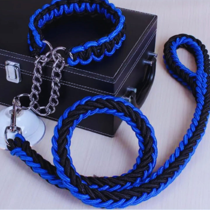 Vielseitiges Nylon-Hundehalsband & Führleine Set für intensives Training.