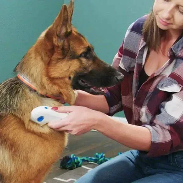 Elektronischer Flohkamm für Haustiere, sanfte, schmerzfreie Entfernung von Flöhen und Parasiten bei Katzen & Hunden.