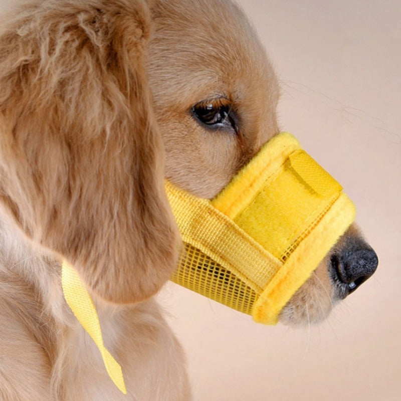 Leichter, verstellbarer Netzmaulkorb für Hunde, verhindert Bellen & Beißen, ideal für Tierarztbesuche.