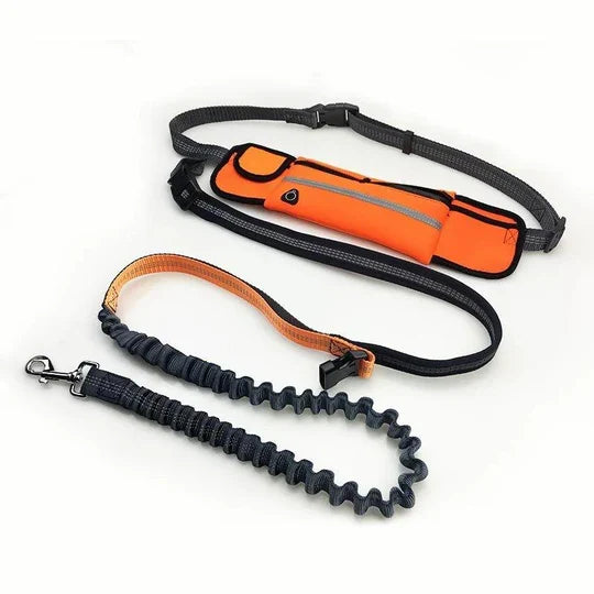 Freihändige Hundeleine mit Hüftgurt für Läufer & Wanderer. Perfekt für aktive Hundebesitzer im Outdoor.