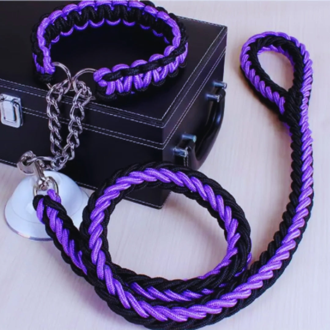 Langlebiges, reißfestes Nylon-Hundehalsband & Führleine für sicheres Hundetraining.