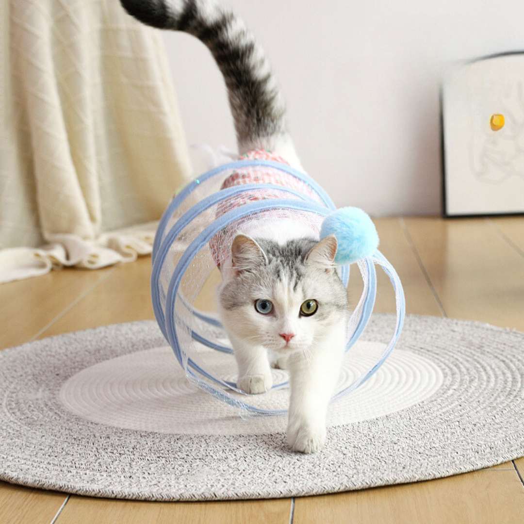 Draufsicht auf das interaktive Katzenspielzeug mit Spiralbahn, Feder und Sisal-Elementen für Katzen.