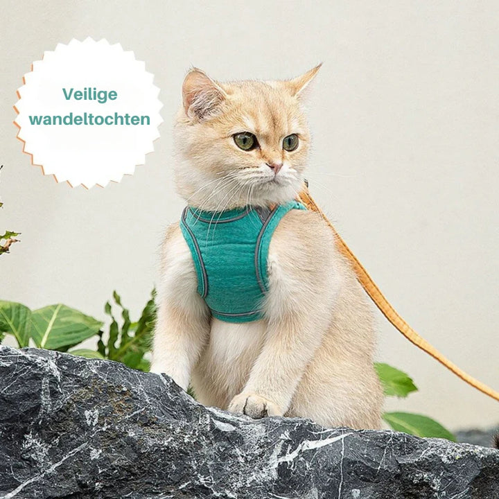 Katzengeschirr-Set mit passender Leine; ideal für junge Katzen, die das Spazierengehen lernen.