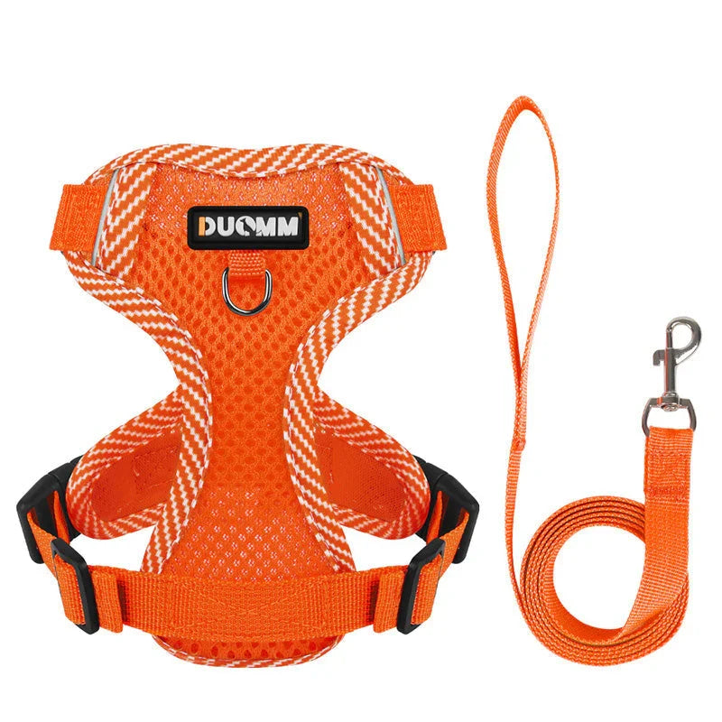 Komplettes reflektierendes Hundegeschirr- & Leinen-Set, speziell für kleine Hunderassen und Welpen.