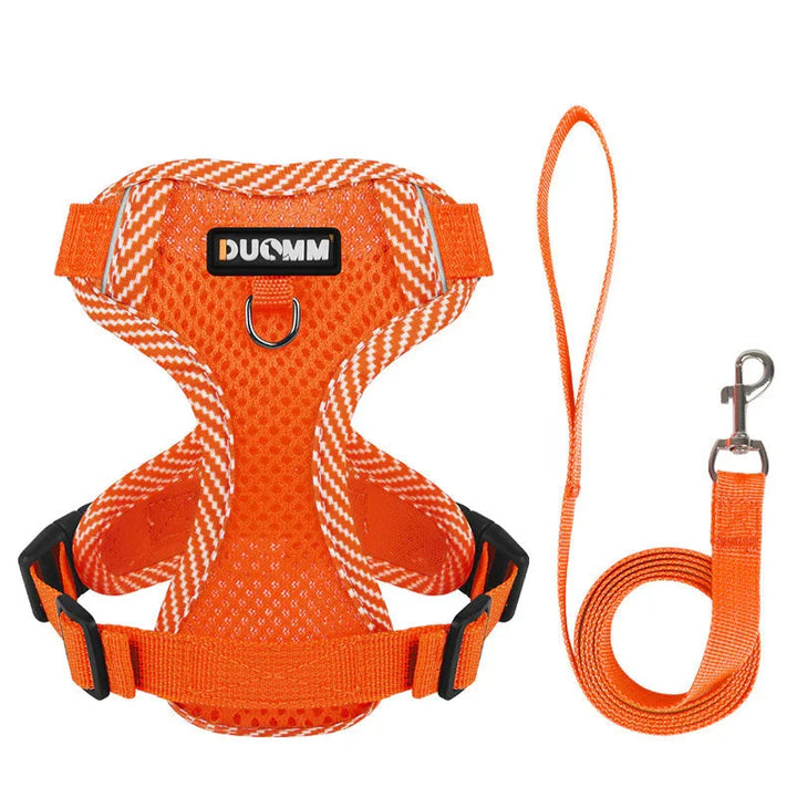 Komplettes reflektierendes Hundegeschirr- & Leinen-Set, speziell für kleine Hunderassen und Welpen.