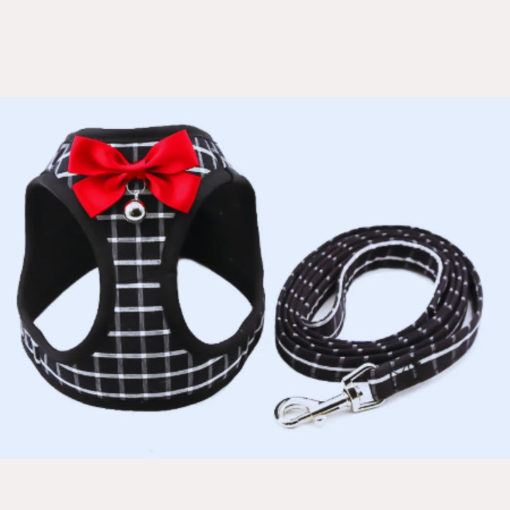 Leichtes Hundegeschirr für Welpen und kleine Hunde, mit eleganter Schleife. Atmungsaktiv & druckentlastend.