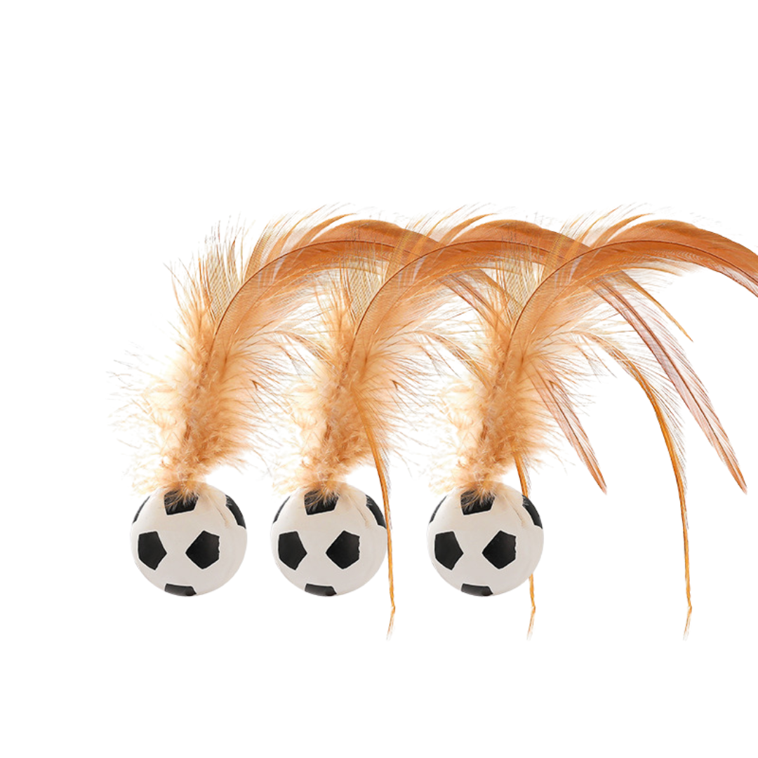Lebhaftes Federball Katzenspielzeug aus sicheren Materialien. Ideal für aktive Katzen & tägliche Fitness.