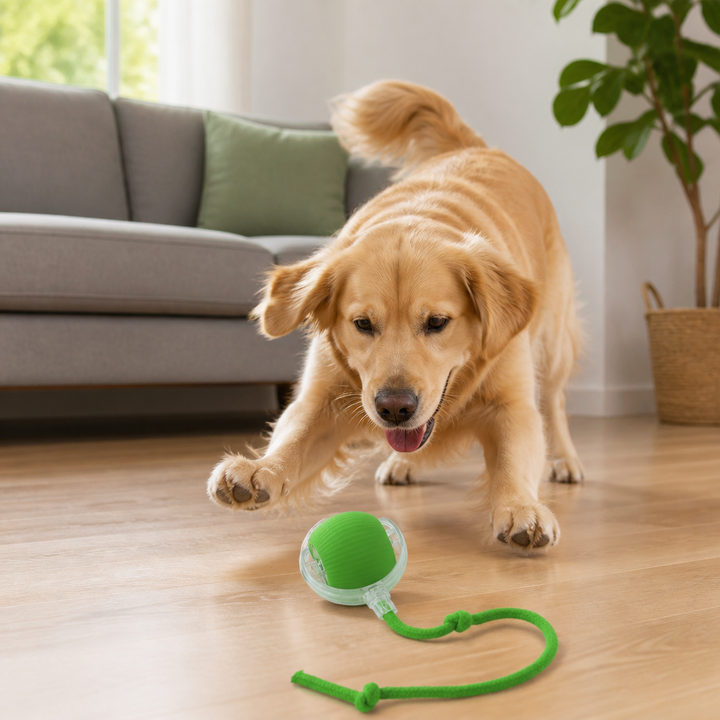 Vielseitiger interaktiver Hundeball mit Schwanz. Für drinnen & draußen. Fördert Bewegung, Spiel & Intelligenz beim Haustier.
