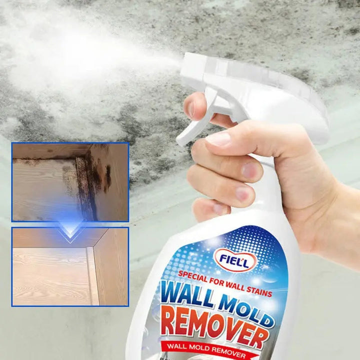 Effektiver Schimmelentferner Spray 240ml für Wände & Tapeten. Schimmelreiniger für wohngesundes Raumklima.