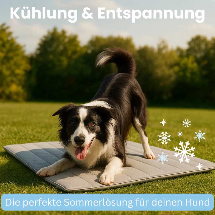 Komfortable Kühlmatte für Hunde, bietet eine kühle Oberfläche und entspanntes Liegen im Haus oder Garten.