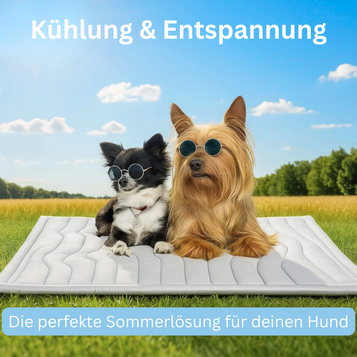 Tragbare Kühlmatte als Hundebett für unterwegs, perfekt für Reise und Auto im Sommer.