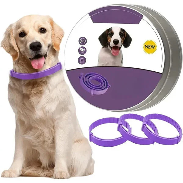 Ruhiges Haustier dank Pheromon-Halsband. Effektive Beruhigung und Angstreduktion für Hunde und Katzen.