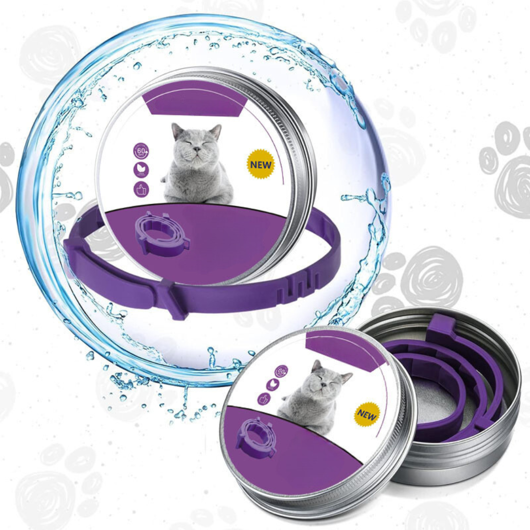 Pheromon-Halsband für Hund & Katze im Alltag. Fördert Ruhe und Entspannung zu Hause. Stresslinderung für Haustiere.