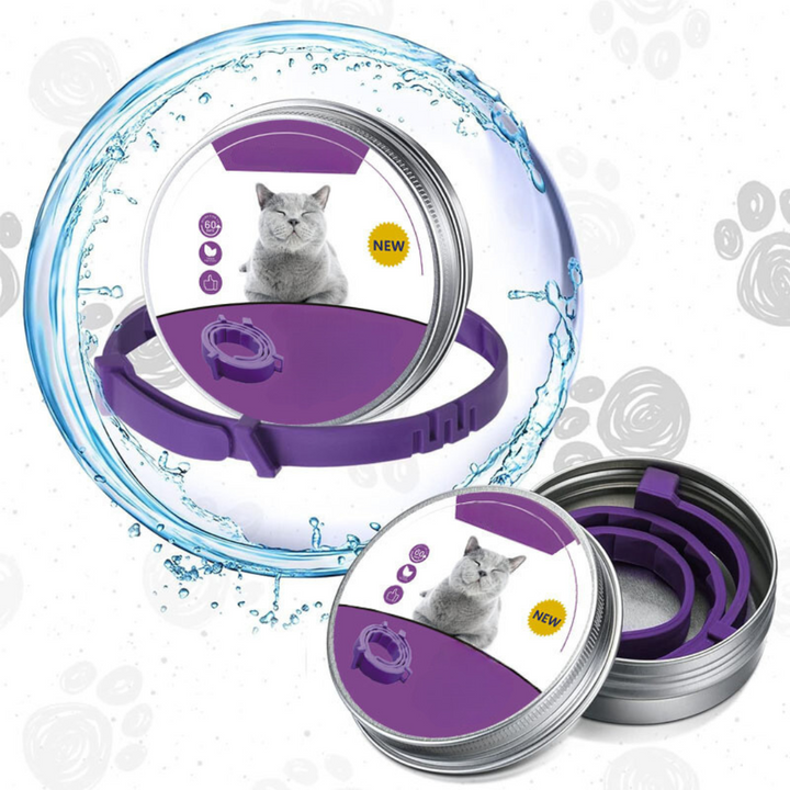 Pheromon-Halsband für Hund & Katze im Alltag. Fördert Ruhe und Entspannung zu Hause. Stresslinderung für Haustiere.