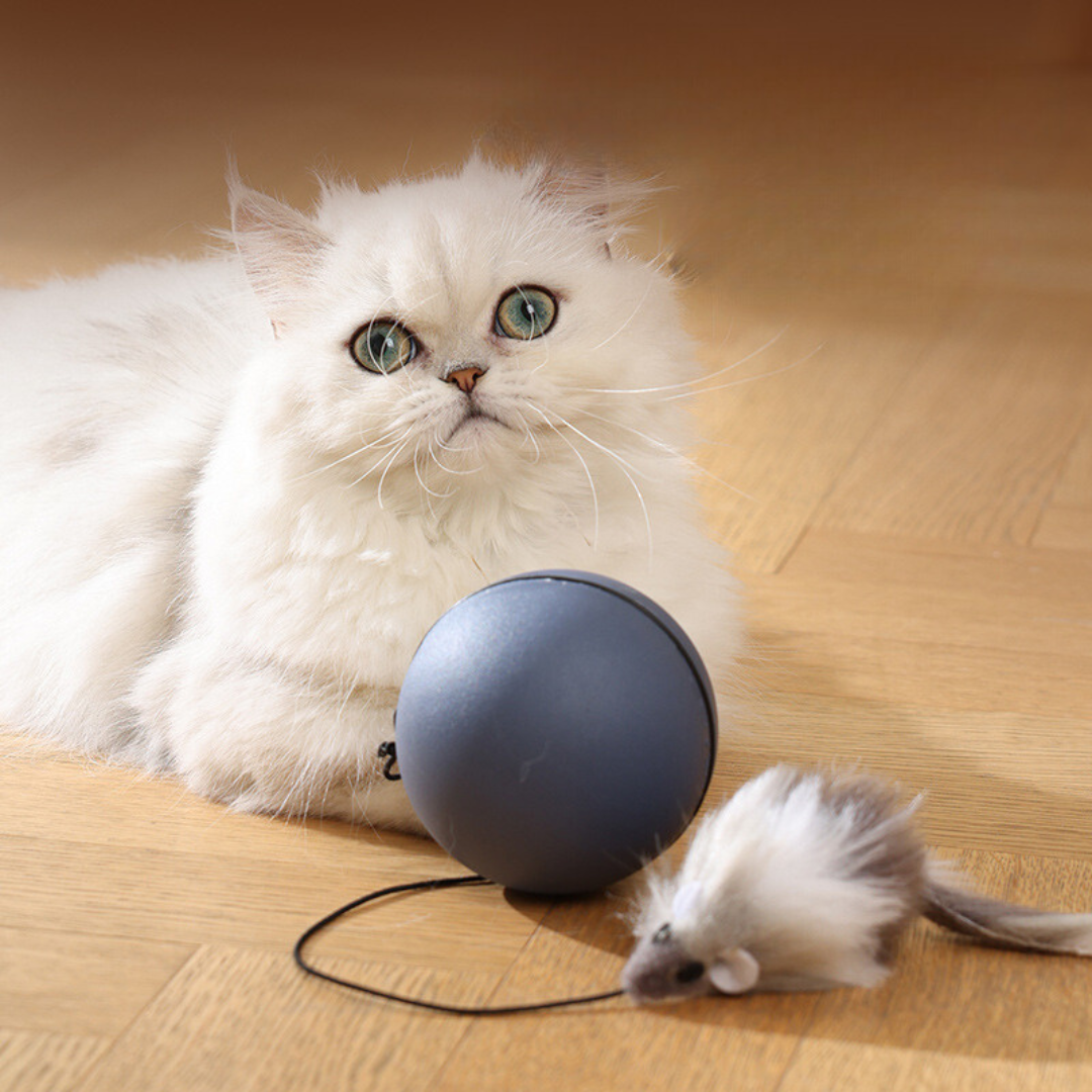 Interaktiver Turboball für Katzen mit Schwanz, fördert Jagdinstinkt und Spielspaß. Automatisches Katzenspielzeug.