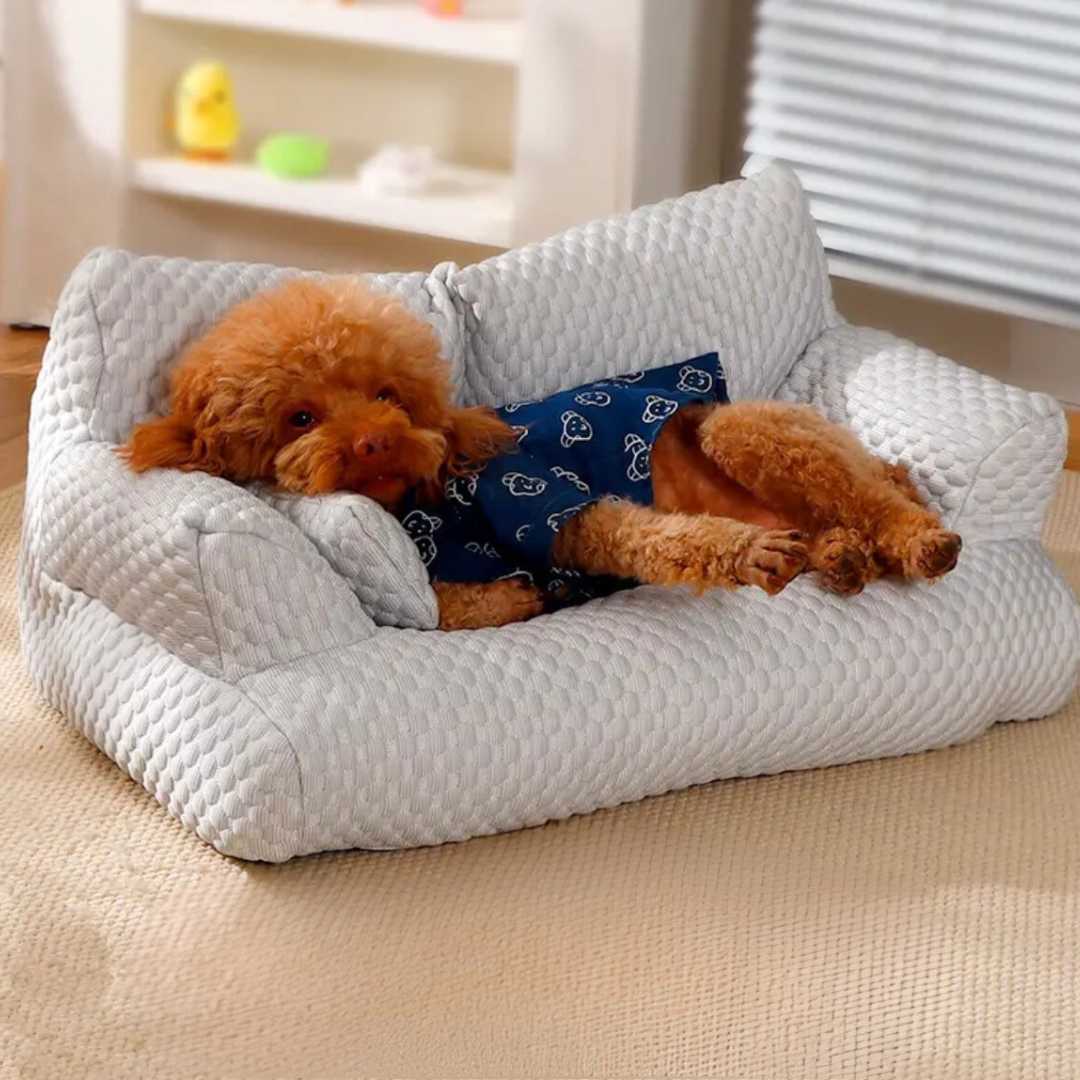 Kühlendes Hundebett als Tierkomfort-Zubehör für entspannte Sommertage. Perfekte kühlende Hundecouch.