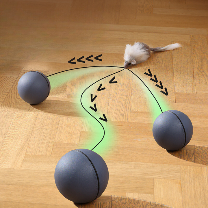 Katze spielt begeistert mit dem interaktiven Turboball-Katzenspielzeug mit Schwanz, das zum Jagen animiert.