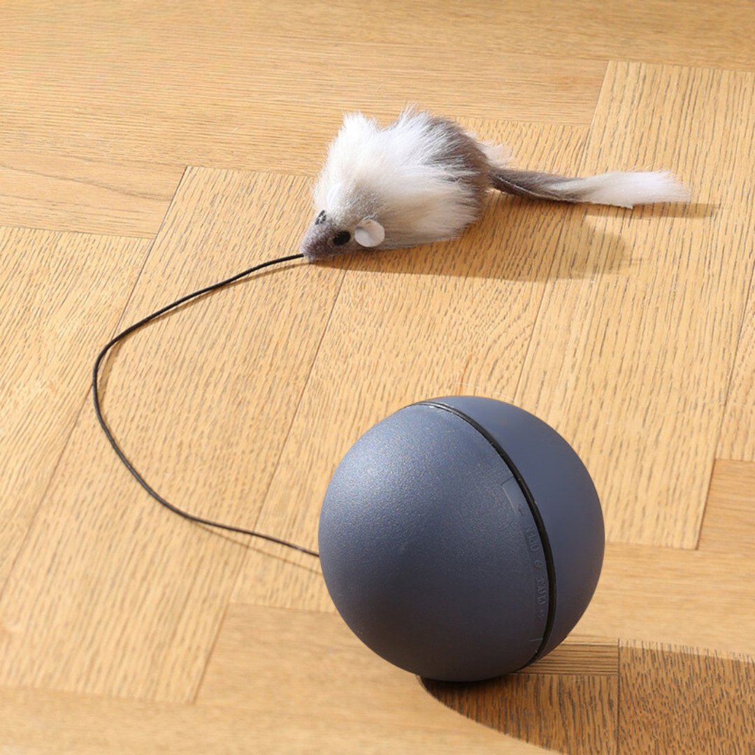 Katzenglück mit dem interaktiven Turboball. Dieses automatische Katzenspielzeug mit Schwanz sorgt für Spaß.