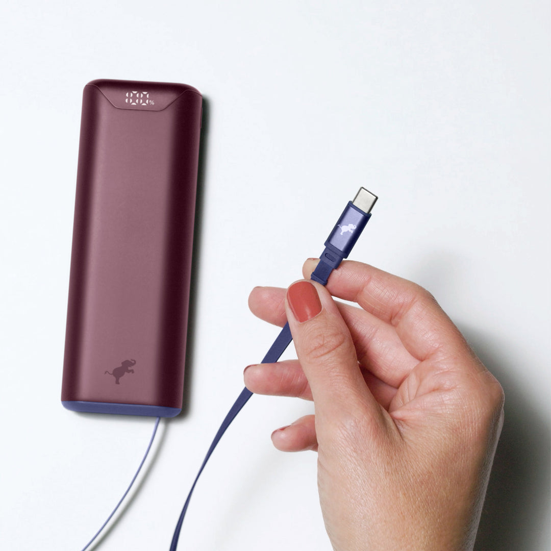 Tragbares Ladegerät: 10.000 mAh Powerbank inklusive USB-C Kabel für alle Mobilgeräte.