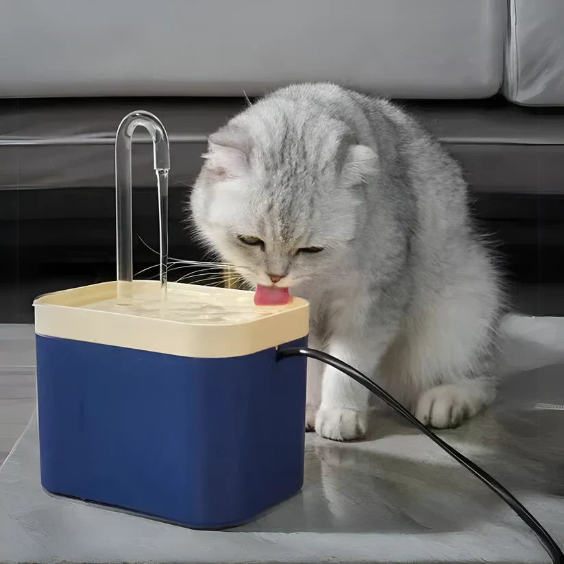 Automatischer Katzenwasserspender FrischSprudel für frisches, leises Trinkwasser & bessere Gesundheit der Katze.